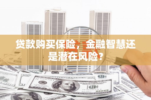 克孜勒苏柯尔克孜贷款购买保险，金融智慧还是潜在风险？