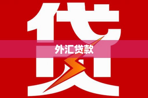 克孜勒苏柯尔克孜外汇贷款