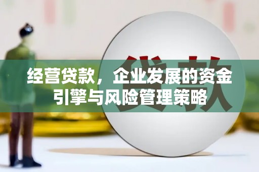 克孜勒苏柯尔克孜经营贷款，企业发展的资金引擎与风险管理策略