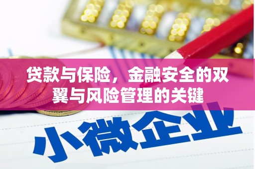 克孜勒苏柯尔克孜贷款与保险，金融安全的双翼与风险管理的关键