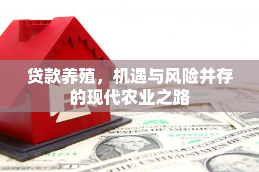克孜勒苏柯尔克孜贷款养殖，机遇与风险并存的现代农业之路