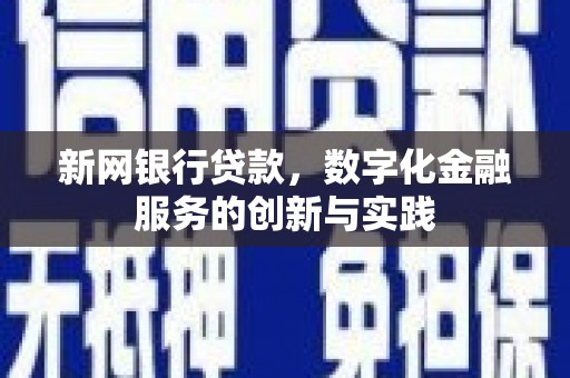 克孜勒苏柯尔克孜新网银行贷款，数字化金融服务的创新与实践