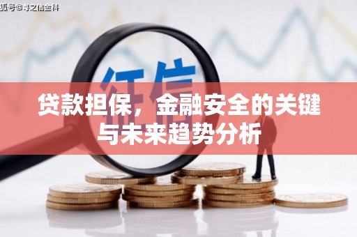克孜勒苏柯尔克孜贷款担保，金融安全的关键与未来趋势分析