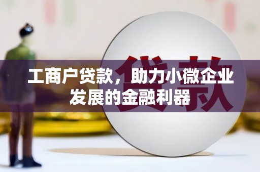 克孜勒苏柯尔克孜工商户贷款，助力小微企业发展的金融利器