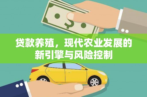 克孜勒苏柯尔克孜贷款养殖，现代农业发展的新引擎与风险控制