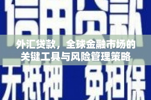 克孜勒苏柯尔克孜外汇贷款，全球金融市场的关键工具与风险管理策略