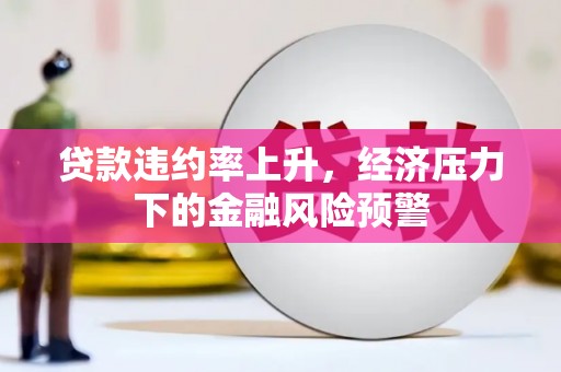 克孜勒苏柯尔克孜贷款违约率上升，经济压力下的金融风险预警