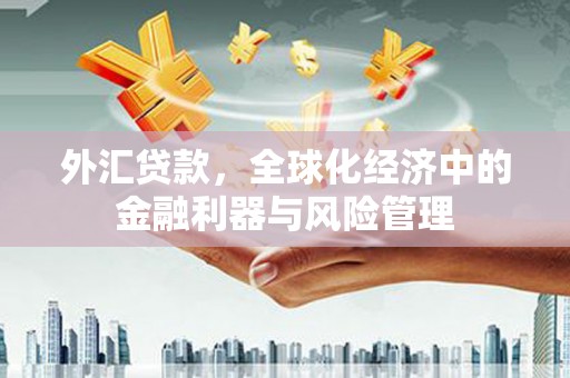 克孜勒苏柯尔克孜外汇贷款，全球化经济中的金融利器与风险管理