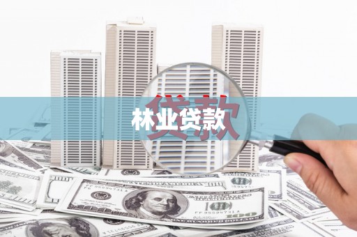 克孜勒苏柯尔克孜林业贷款