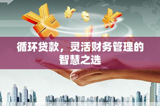 克孜勒苏柯尔克孜循环贷款，灵活财务管理的智慧之选