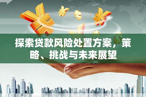 克孜勒苏柯尔克孜探索贷款风险处置方案，策略、挑战与未来展望