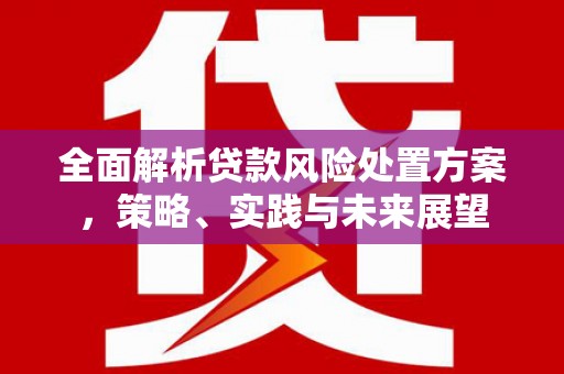 克孜勒苏柯尔克孜全面解析贷款风险处置方案，策略、实践与未来展望