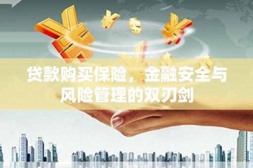 克孜勒苏柯尔克孜贷款购买保险，金融安全与风险管理的双刃剑