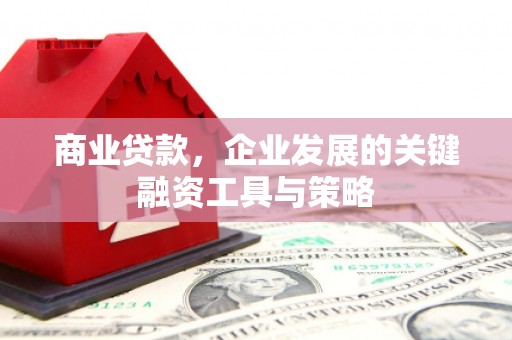 克孜勒苏柯尔克孜商业贷款，企业发展的关键融资工具与策略