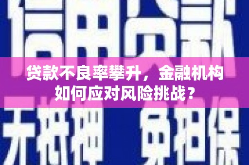 克孜勒苏柯尔克孜贷款不良率攀升，金融机构如何应对风险挑战？