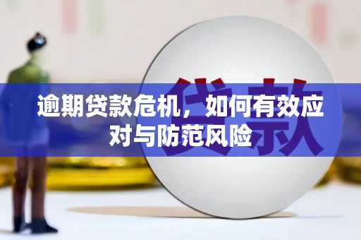 克孜勒苏柯尔克孜逾期贷款危机，如何有效应对与防范风险