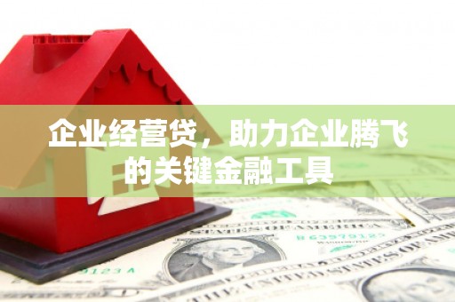 克孜勒苏柯尔克孜企业经营贷，助力企业腾飞的关键金融工具