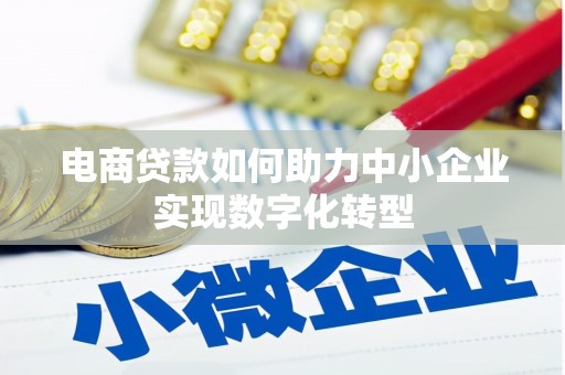 克孜勒苏柯尔克孜电商贷款如何助力中小企业实现数字化转型