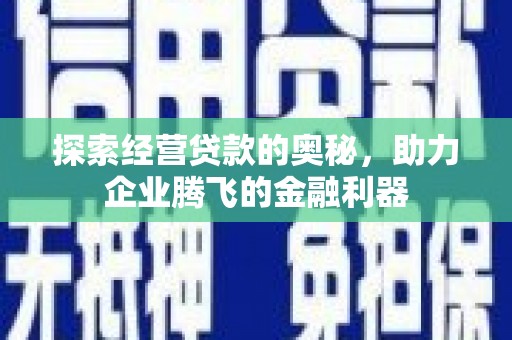 克孜勒苏柯尔克孜探索经营贷款的奥秘，助力企业腾飞的金融利器