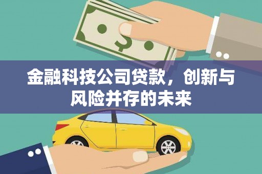 克孜勒苏柯尔克孜金融科技公司贷款，创新与风险并存的未来