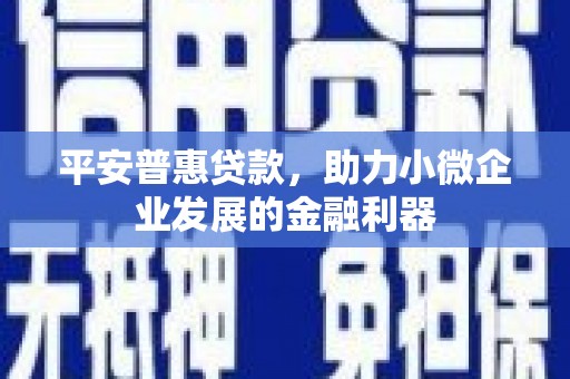 克孜勒苏柯尔克孜平安普惠贷款，助力小微企业发展的金融利器