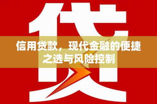 克孜勒苏柯尔克孜信用贷款，现代金融的便捷之选与风险控制