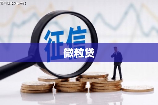 克孜勒苏柯尔克孜微粒贷