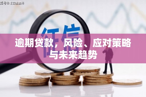 克孜勒苏柯尔克孜逾期贷款，风险、应对策略与未来趋势