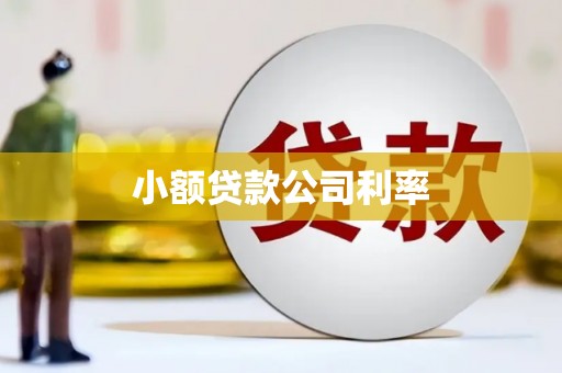 克孜勒苏柯尔克孜小额贷款公司利率
