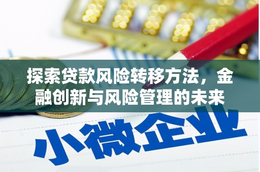 克孜勒苏柯尔克孜探索贷款风险转移方法，金融创新与风险管理的未来