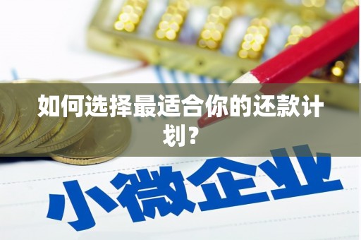 克孜勒苏柯尔克孜如何选择最适合你的还款计划？