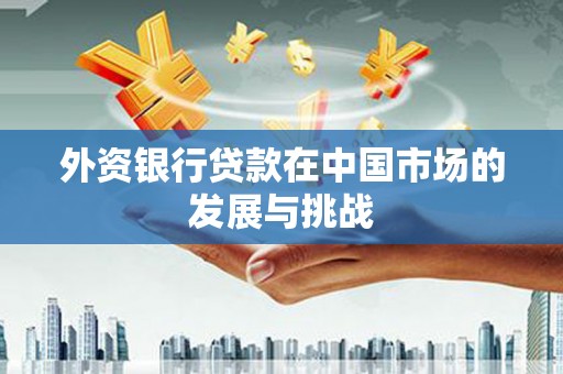克孜勒苏柯尔克孜外资银行贷款在中国市场的发展与挑战