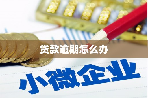 克孜勒苏柯尔克孜贷款逾期怎么办
