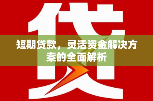 克孜勒苏柯尔克孜短期贷款，灵活资金解决方案的全面解析