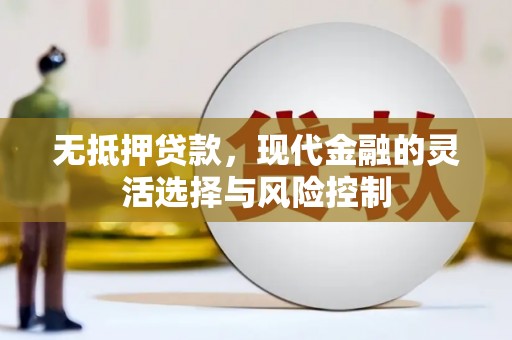 克孜勒苏柯尔克孜无抵押贷款，现代金融的灵活选择与风险控制