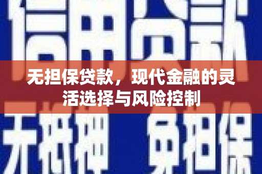 克孜勒苏柯尔克孜无担保贷款，现代金融的灵活选择与风险控制