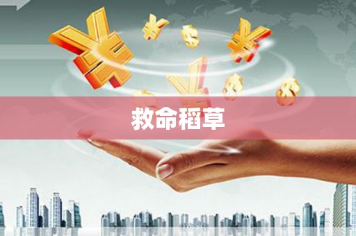 克孜勒苏柯尔克孜救命稻草