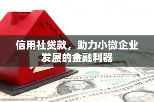 克孜勒苏柯尔克孜信用社贷款，助力小微企业发展的金融利器