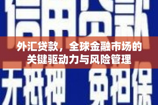 克孜勒苏柯尔克孜外汇贷款，全球金融市场的关键驱动力与风险管理