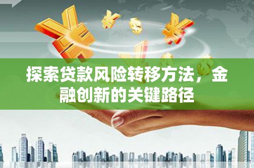 克孜勒苏柯尔克孜探索贷款风险转移方法，金融创新的关键路径