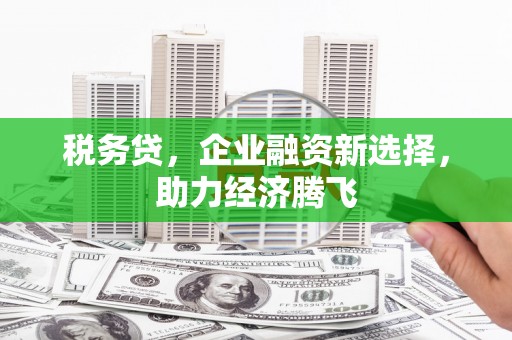 克孜勒苏柯尔克孜税务贷，企业融资新选择，助力经济腾飞