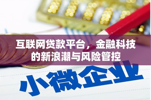 克孜勒苏柯尔克孜互联网贷款平台，金融科技的新浪潮与风险管控