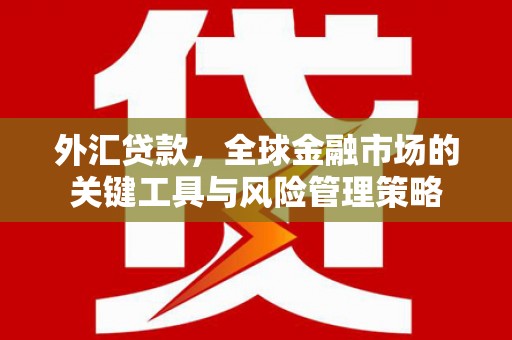 克孜勒苏柯尔克孜外汇贷款，全球金融市场的关键工具与风险管理策略