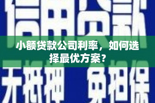 克孜勒苏柯尔克孜小额贷款公司利率，如何选择最优方案？