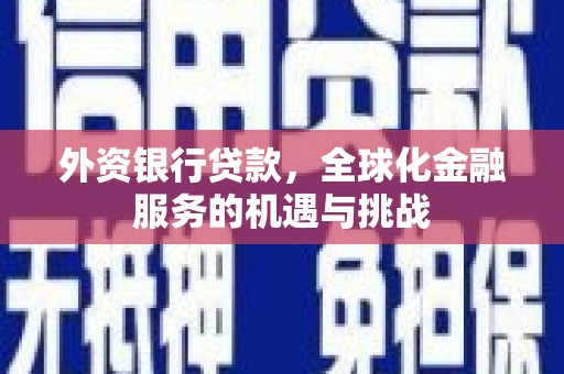 克孜勒苏柯尔克孜外资银行贷款，全球化金融服务的机遇与挑战