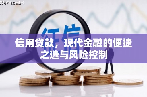克孜勒苏柯尔克孜信用贷款，现代金融的便捷之选与风险控制