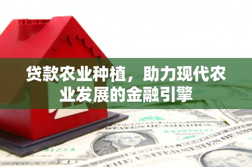 克孜勒苏柯尔克孜贷款农业种植，助力现代农业发展的金融引擎