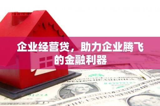 克孜勒苏柯尔克孜企业经营贷，助力企业腾飞的金融利器
