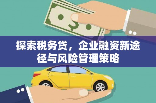 克孜勒苏柯尔克孜探索税务贷，企业融资新途径与风险管理策略