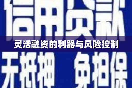 克孜勒苏柯尔克孜灵活融资的利器与风险控制